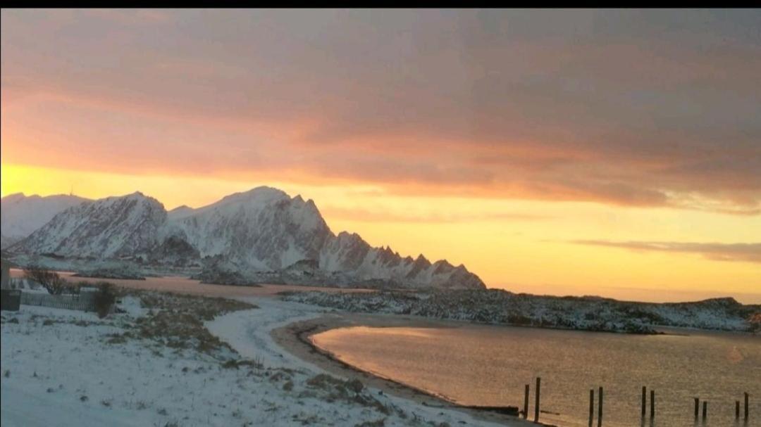 Sentral Studioleilighet Ved Stranden Og Hvalsenter Nb Ma Vaskes Etter Endt Leie Eller Betale Rengjoringshjelpen 500 Kr Andenes Ngoại thất bức ảnh